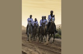 قرية الإمارات العالمية للقدرة تكمل استعداداتها لانطلاقة الموسم الجديد وإطلاق الهوية المؤسسية