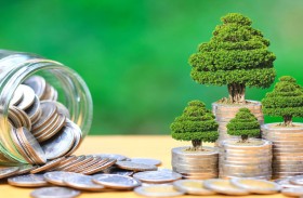 السندات والصكوك الخضراء.. تمويل مستدام يعزز جهود الإمارات لتحقيق الحياد المناخي