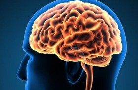 اكتشاف المنطقة المسؤولة عن حل المشكلات في المخ