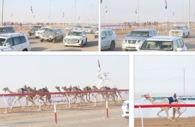 ارتفاع وتيرة التنافس بين مطايا الحقايق بمهرجان العين و زاعور ينال نجومية الأشواط الصباحية بأفضل زمن 