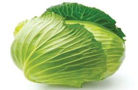 الكرنب 