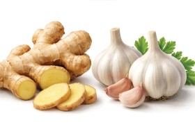 الثوم أم الزنجبيل.. أيهما الأفضل لدعم مناعتك؟