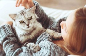 نصيحة طبية لمن يربون حيوانا أليفا