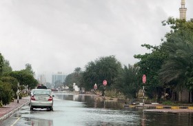 46.6 ملم كمية الأمطار المسجلة في الفجيرة خلال 24 ساعة