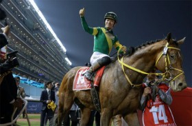 وسائل الإعلام اليابانية تحتفي بإنجاز «أوشبا تيسورو» في كأس دبي العالمي للخيول