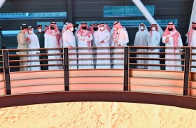 سيف بن زايد يلتقي وزير الداخلية السعودي في إكسبو 2020 دبي