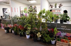 «الوثبة للزهور» منصة للابتكار الزراعي في مهرجان الشيخ زايد