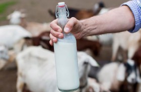 حليب الماعز.. فيتامينات طبيعية وترطيب  عميق للبشرة دون آثار جانبية