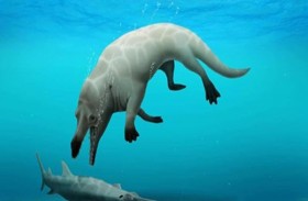 اكتشاف حوت برمائي عاش قبل 43 مليون سنة