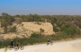 بلدية دبي تنفذ مضمارا للدراجات الرملية بطول 50 كيلو مترا في غابات حديقة مشرف الوطنية