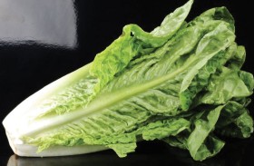 الخس مفيد للقلب والمعدة والجهاز الهضمي