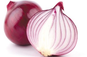   البصل 