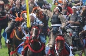 تعرّض 111 حصاناً لضربة شمس خلال مهرجان 