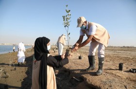 هيئة البيئة والمحميات الطبيعية تنفذ مبادرة جديدة لتشجير محمية القرم في يوم البيئة الوطني