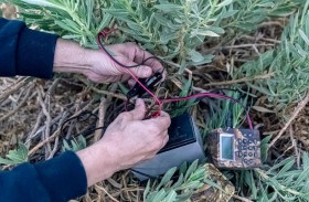 هيئة البيئة والمحميات الطبيعية تواصل أعمالها في ضبط ومصادرة أجهزة إصدار أصوات الطيور