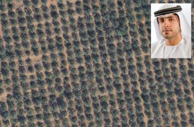 محمد بن راشد للفضاء يستخرج 45 ألف نخلة بتقنيات الذكاء الاصطناعي