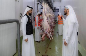 هيئة الأعمال الخيرية العالمية تختتم حملة الأضحى 2022