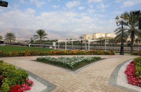بلدية دبا الحصن تزرع نحو ربع مليون زهرة لتجميل المدينة