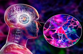 ماذا تفعل الآن لتحمي الذاكرة مستقبلاً؟   