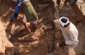 التماسيح تبوح بأسرار جديدة عن التحنيط لدى الفراعنة