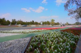 بلدية مدينة العين تنجز 5 مشاريع تجميلية 