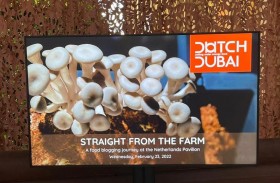 جناح هولندا في إكسبو دبي يستعرض دور المدن الخضراء في رسم ملامح مستقبل الأمن الغذائي