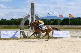 كأس «الوثبة ستاليونز» للخيول العربية الأصيلة.. «بالومبينا» يتوّج باللقب في إسبانيا