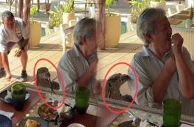 ضيف مرعب يقتحم مائدة عائلية 