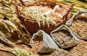 المفوض الأوروبي للزراعة يحذّر من استخدام الغذاء سلاحا 