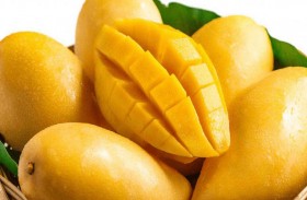 يطعن شقيقه بسبب آخر حبة مانجا