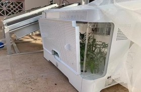 زراعة السبانخ باستخدام الألواح الشمسية