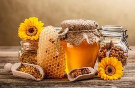 فوائد الزنجبيل مع العسل والجينسنغ: الثنائي المضاد للتعب في الشتاء