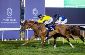 7 أشواط للخيول في كأس أبوظبي الذهبي جوائزها 5 ملايين درهم