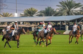 فوز صعب للحبتور والذئاب تحقق أولى مفاجآت البطولة على الإمارات