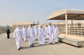 بلحيف النعيمي يبحث تعزيز عمليات استيراد الثروة الحيوانية وتحويل الدولة لمركز لإعادة التصدير في المنطقة 