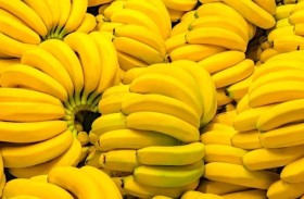 خطأ شحن يُحول جزيرة إلى مخزن للموز