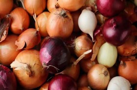 سر علاقة البصل بـ الفطر الأسود