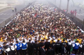 سباق زايد الخيري ينطلق اليوم في مصر