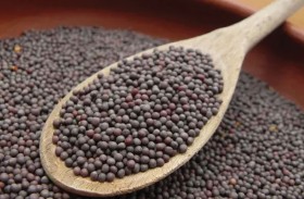 الخردل.. طعم مميز وفوائد صحية مذهلة