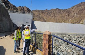 «الطاقة والبنية والتحتية»: الإمارات أثبتت كفاءة وتميزا في تعاملها مع الحالة الجوية غير المسبوقة