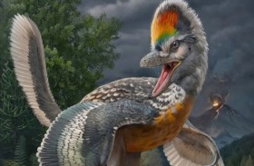 ديناصور غريب يشبه الطيور بأرجل طويلة 