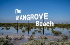 في أم القيوين .. شاطئ القرم وجهة سياحية مميزة تتمتع بمناظر ساحرة