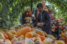 آزاد محمد يغزو الانترنت بنصائحه الزراعية