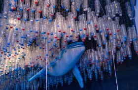 الأسبوع العاشر والأخير من موضوعات إكسبو يحتفي بالمياه بجميع صورها في الفترة من 20 إلى 26 مارس