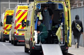 حل لغز وفيات داء الفيالقة في الأرجنتين