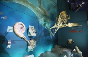 مراكز هيئة البيئة والمحميات الطبيعية بالشارقة تستقبل 66663 زائرا خلال يناير و فبراير 