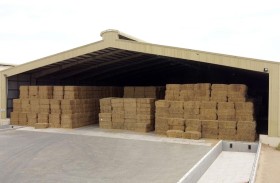 أبوظبي للزراعة تفتح سوق الأعلاف لمربي الثروة الحيوانية المسجلين