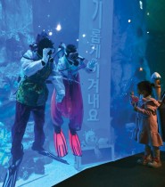 غواصون كوريون جنوبيون يرتدون زي الهانبوك الكوري التقليدي يلوحون بأيديهم في حوض مائي لطفل خلال فعالية للاحتفال بالعام الجديد في سيول.  ا ف ب