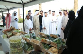 انطلاق الموسم الثاني من مهرجان «حصاد مزارعنا» في أم القيوين