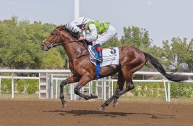 اليوم.. 84 خيلاً تتنافس في الأمسية التاسعة لمضمار جبل علي‎